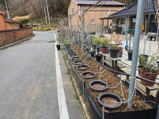 정광일님의 자유주제 · 자유게시판 작성글 사진