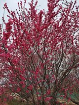 팜모닝 자유주제·사진전 게시글 이미지