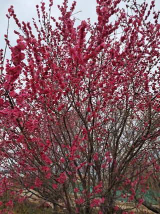 윤형곤님의 자유주제 · 사진전 작성글 사진