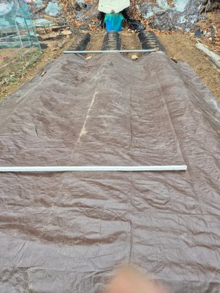 담디농원님의 자유주제 · 자유게시판 작성글 사진