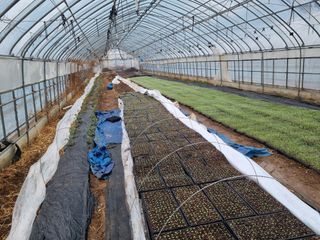 진여화 농원님의 농사, 무엇이든 물어보세요! · 참여글 작성글 사진