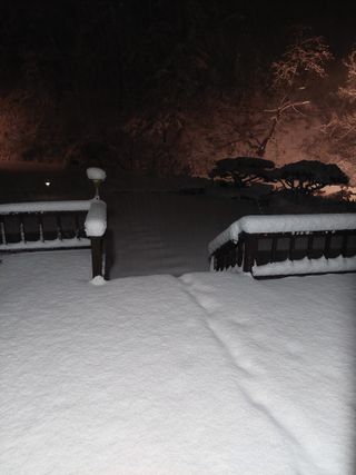 관음손가네님의 자유주제 · 자유게시판 작성글 사진