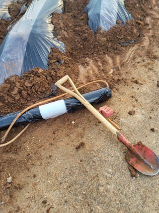 최유순님의 감자심기 하셨나요? · 참여글 작성글 사진