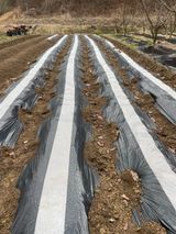 팜모닝 자유주제·자유게시판 게시글 이미지