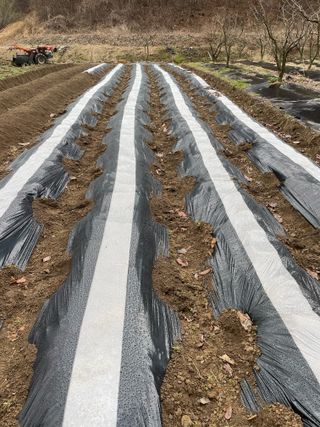 오디님의 자유주제 · 자유게시판 작성글 사진