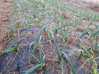 초원에빛님의 자유주제 · 자유게시판 작성글 사진