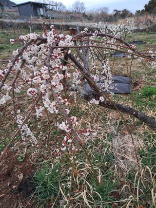 윤형곤님의 자유주제 · 사진전 작성글 사진