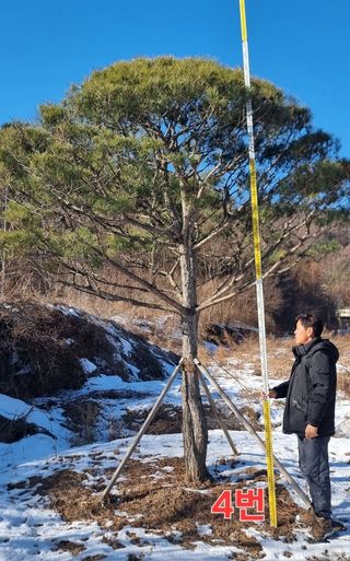약초꾼님의 자유주제 · 자유게시판 작성글 사진