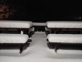 관음손가네님의 자유주제 · 자유게시판 작성글 사진