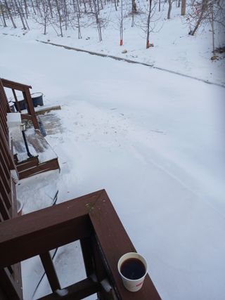 알 수 없음님의 자유주제 · 자유게시판 작성글 사진