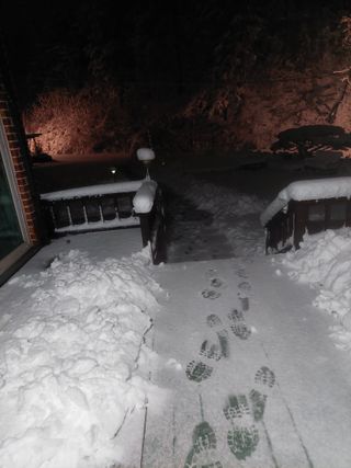 관음손가네님의 자유주제 · 자유게시판 작성글 사진