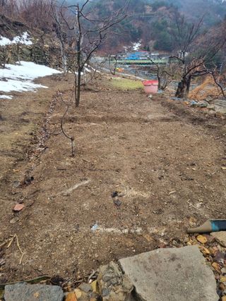 김용대님의 자유주제 · 자유게시판 작성글 사진