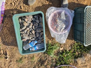 최철훈님의 감자심기 하셨나요? · 참여글 작성글 사진