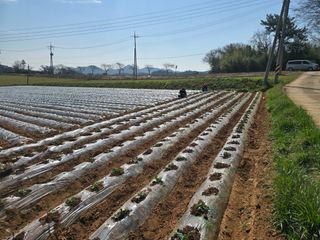 박수열님의 자유주제 · 자유게시판 작성글 사진