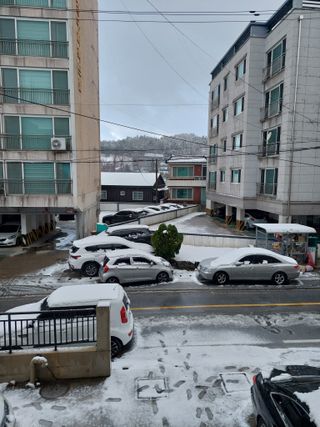 황대헌님의 자유주제 · 자유게시판 작성글 사진