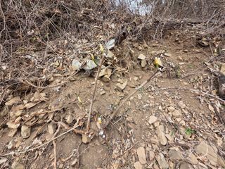 산양삼님의 자유주제 · 자유게시판 작성글 사진