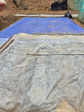 담디농원님의 자유주제 · 자유게시판 작성글 사진