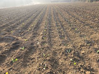 박수열님의 자유주제 · 자유게시판 작성글 사진