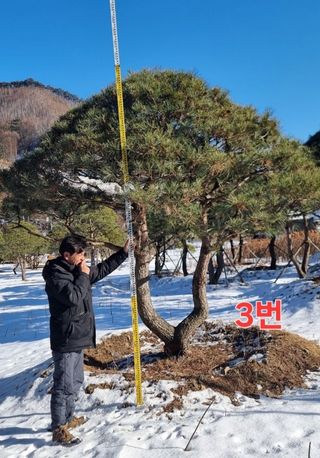 약초꾼님의 자유주제 · 자유게시판 작성글 사진