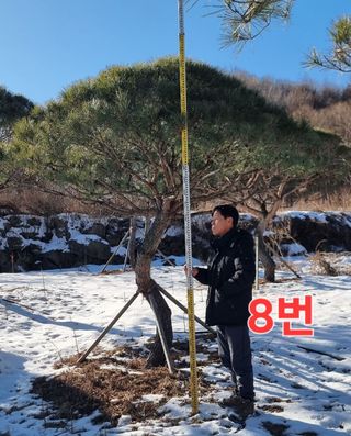 약초꾼님의 자유주제 · 자유게시판 작성글 사진