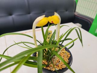 독고다이님의 작성글 사진