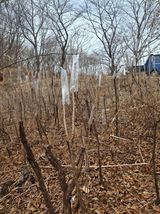 팜모닝 자유주제·자유게시판 게시글 이미지