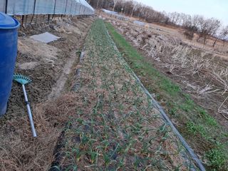 초원에빛님의 자유주제 · 자유게시판 작성글 사진