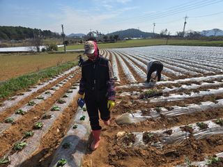 박수열님의 자유주제 · 자유게시판 작성글 사진