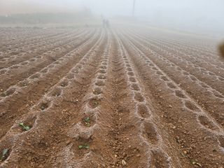 박수열님의 자유주제 · 자유게시판 작성글 사진