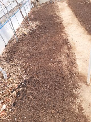 초보텃밭님의 자유주제 · 자유게시판 작성글 사진