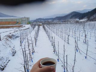 알 수 없음님의 자유주제 · 자유게시판 작성글 사진