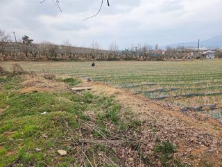 이원우님의 자유주제 · 자유게시판 작성글 사진
