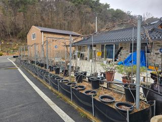 정광일님의 자유주제 · 자유게시판 작성글 사진