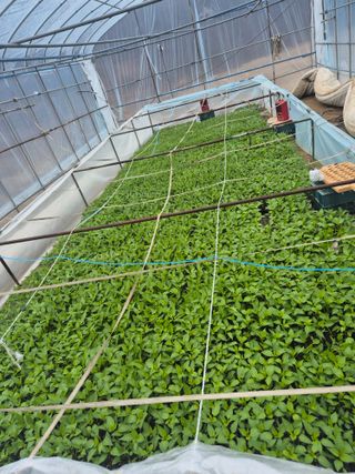 박무순님의 자유주제 · 자유게시판 작성글 사진