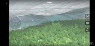 박무순님의 자유주제 · 자유게시판 작성글 사진