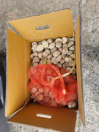 이원우님의 자유주제 · 자유게시판 작성글 사진