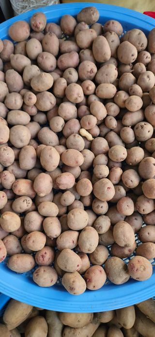 힐스님의 자유주제 · 자유게시판 작성글 사진