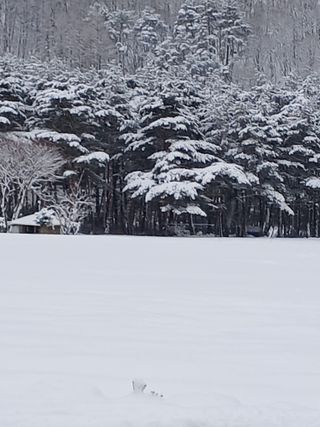 자두6480님의 자유주제 · 자유게시판 작성글 사진