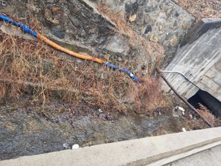 김용대님의 자유주제 · 자유게시판 작성글 사진