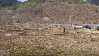 정석구님의 자유주제 · 자유게시판 작성글 사진