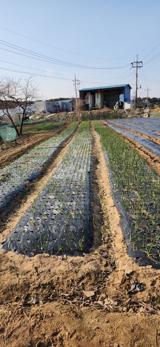 하은와송~♡♡♡~님의 자유주제 · 자유게시판 작성글 사진