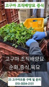 팜모닝 자유주제·자유게시판 게시글 이미지