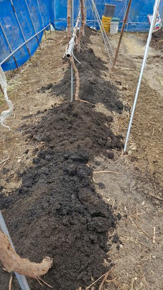 정석구님의 자유주제 · 자유게시판 작성글 사진