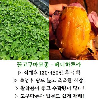 김동수님의 자유주제 · 자유게시판 작성글 사진
