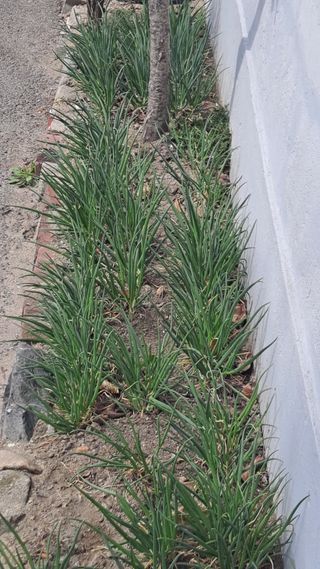 MSG0074님의 자유주제 · 자유게시판 작성글 사진