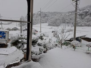 들깨 자색마 고추님의 자유주제 · 자유게시판 작성글 사진