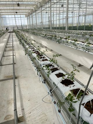 니나님의 자유주제 · 자유게시판 작성글 사진