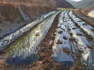 수기님의 자유주제 · 자유게시판 작성글 사진