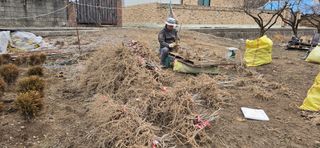 채대영님의 자유주제 · 자유게시판 작성글 사진