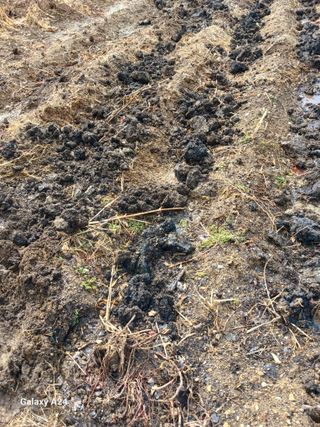 강성흔목사 님의 자유주제 · 자유게시판 작성글 사진